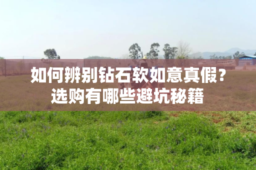 如何辨别钻石软如意真假？选购有哪些避坑秘籍